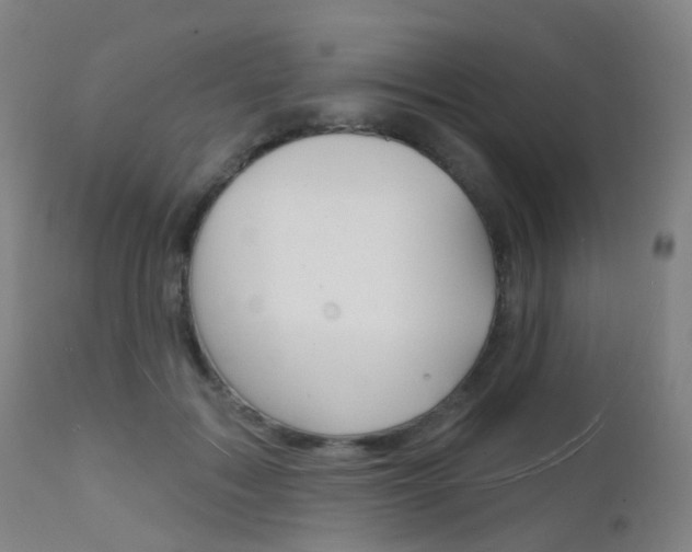 X0000112140603200908070940