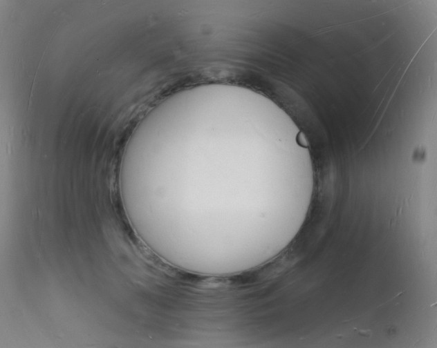 X0000112140606200908070940