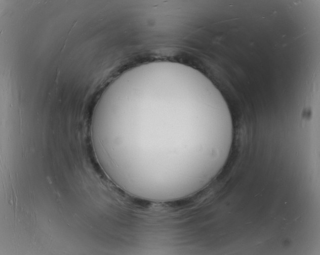 X0000112140608200908070940