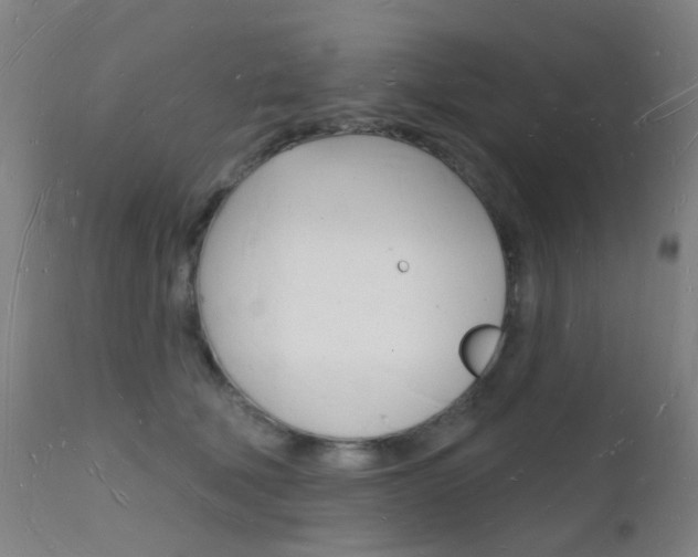 X0000112140610200908070940