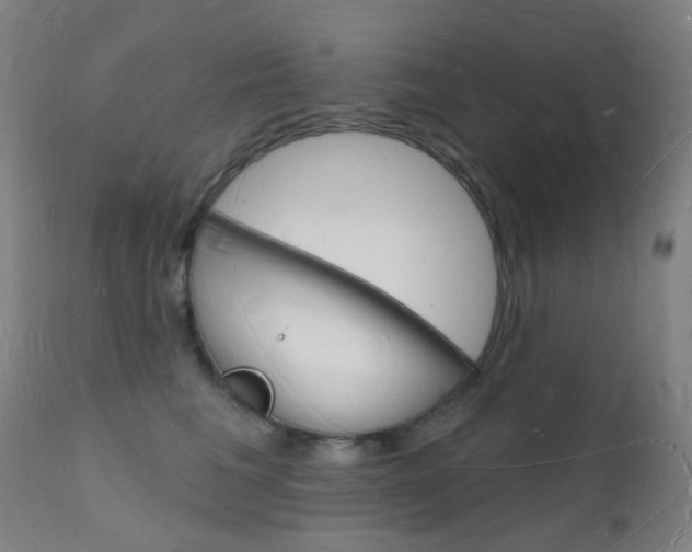 X0000112140613200908070940