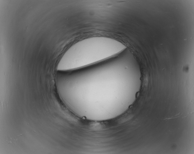 X0000112140616200908070940