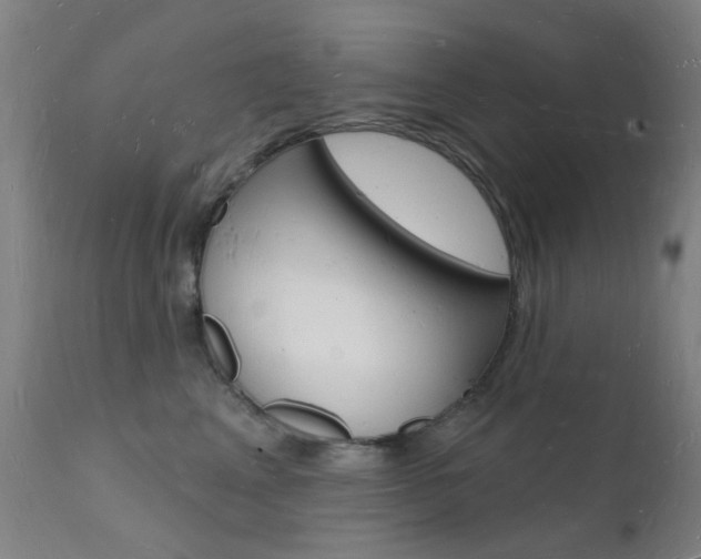 X0000112140617200908070940