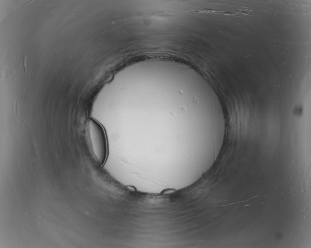 X0000112140619200908070940