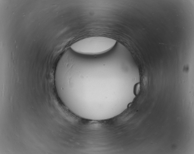 X0000112140620200908070940
