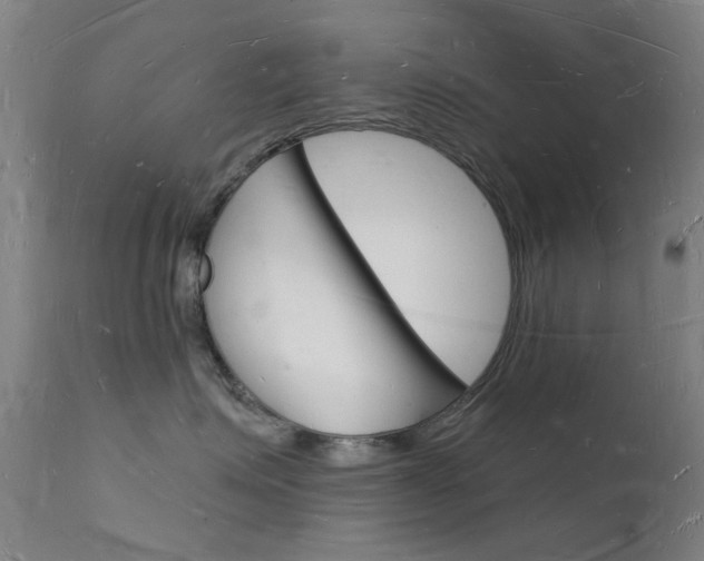 X0000112140623200908070940