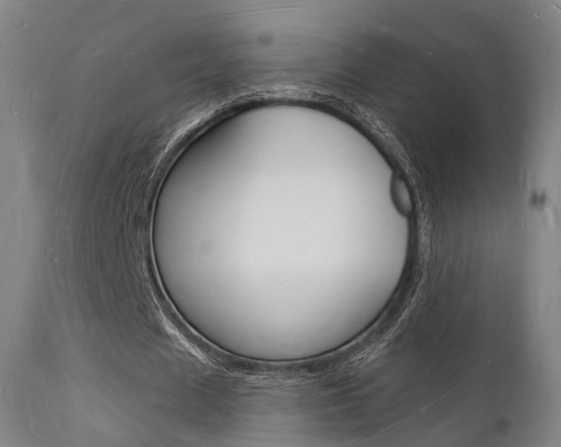 X0000112140625200908070939