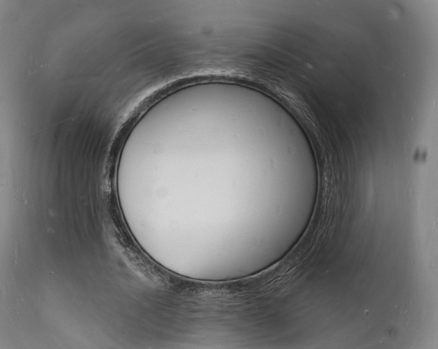 X0000112140628200908070939
