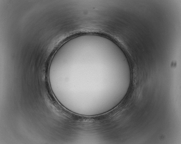 X0000112140631200908070939