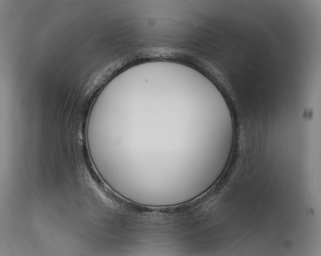 X0000112140633200908070939