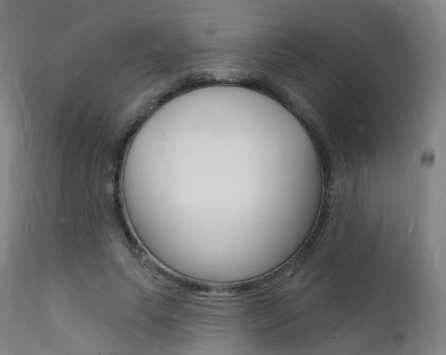 X0000112140639200908070939