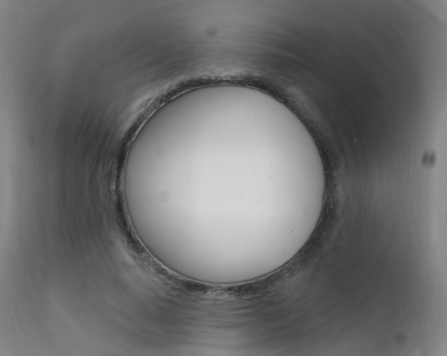 X0000112140640200908070939