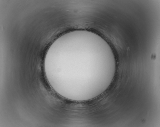 X0000112140643200908070939