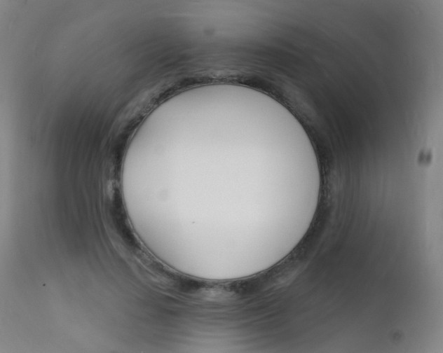 X0000112140644200908070939