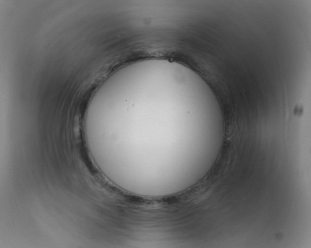 X0000112140646200908070940