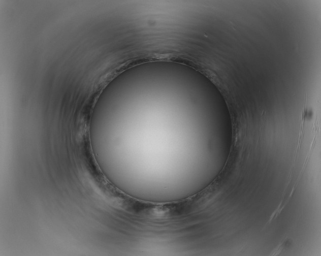 X0000112140647200908070940