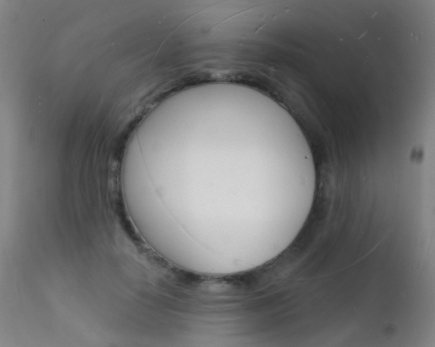 X0000112140650200908070940