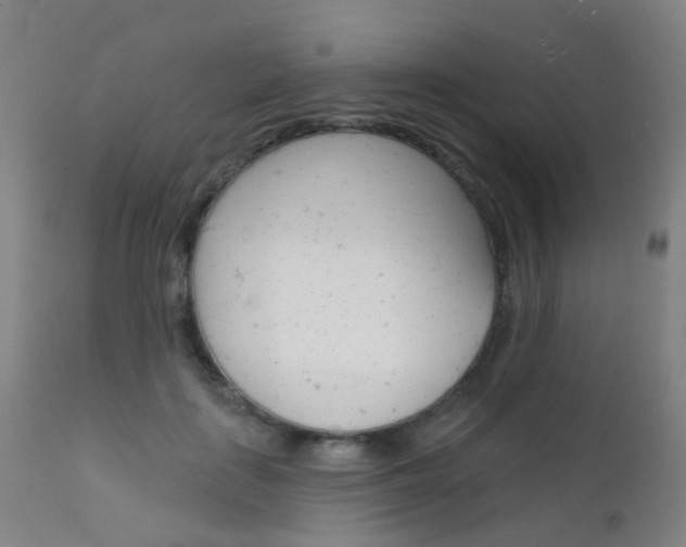 X0000112140651200908070940