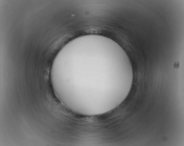 X0000112140652200908070940
