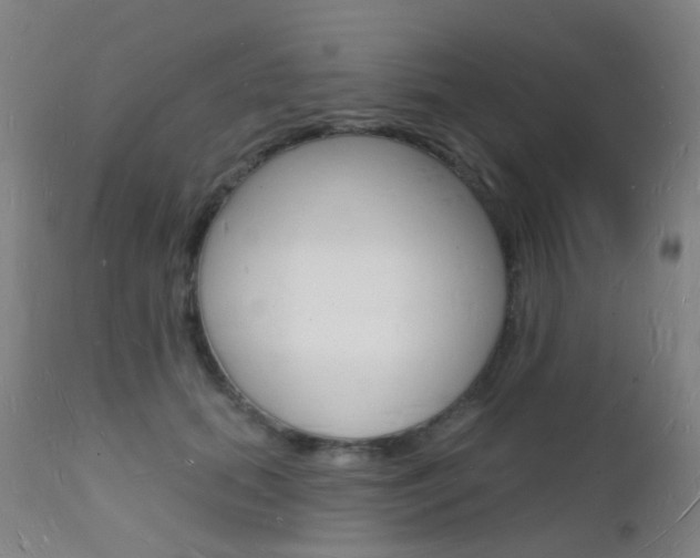 X0000112140655200908070940