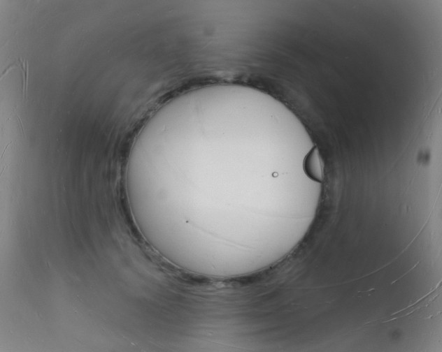 X0000112140656200908070940