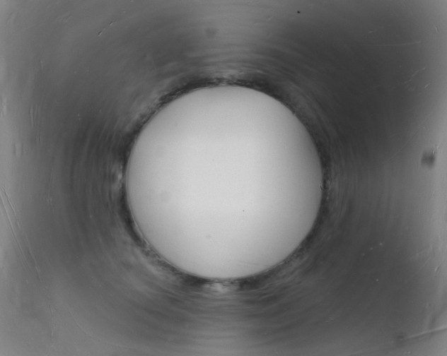 X0000112140660200908070940