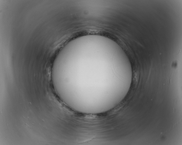 X0000112140666200908070940