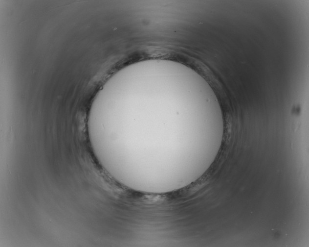 X0000112140667200908070940