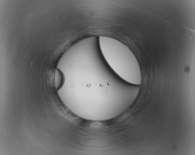X0000112140669200908070940