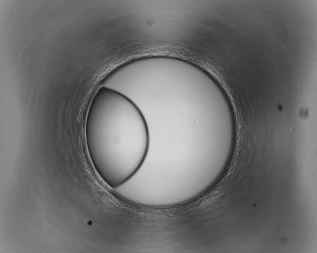 X0000112140673200908070939