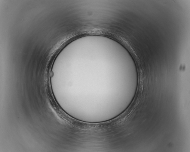 X0000112140674200908070939
