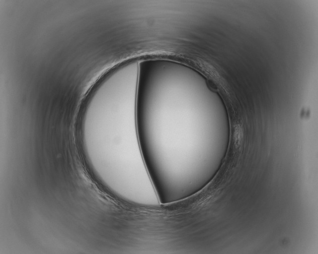 X0000112140676200908070939
