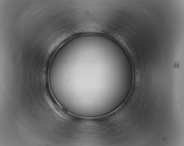 X0000112140677200908070939