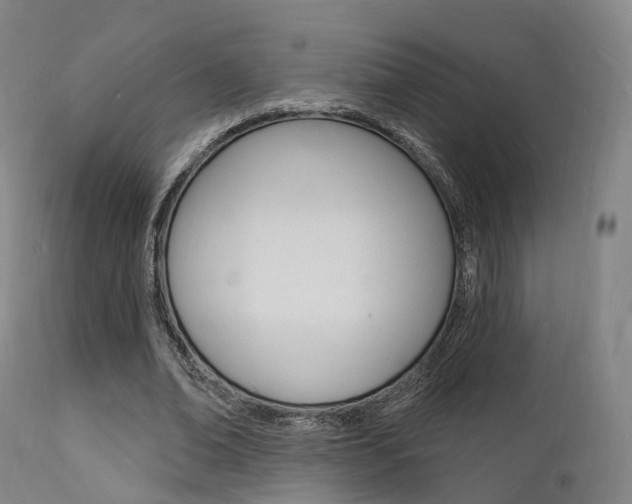 X0000112140678200908070939