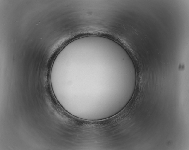 X0000112140679200908070939