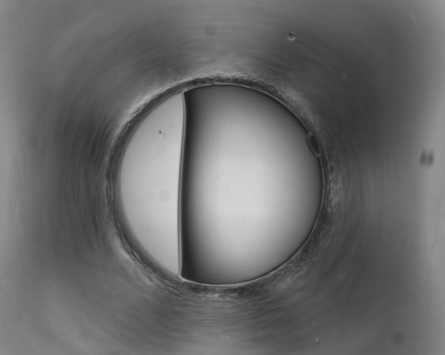 X0000112140680200908070939