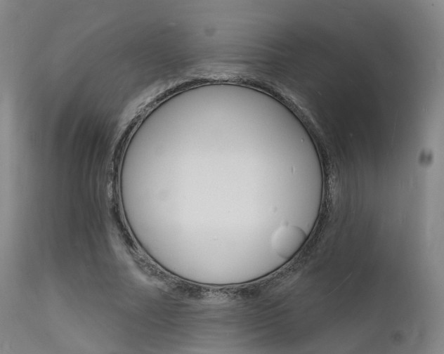 X0000112140682200908070939