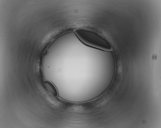 X0000112140685200908070939