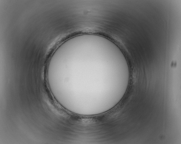 X0000112140686200908070939