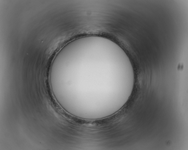 X0000112140687200908070939