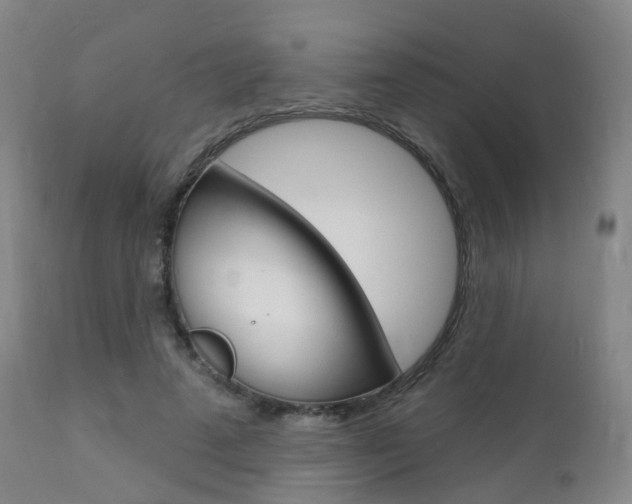 X0000112140689200908070939
