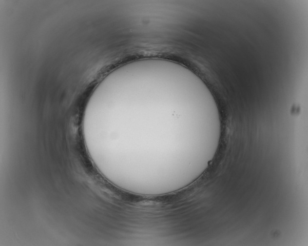 X0000112140691200908070939