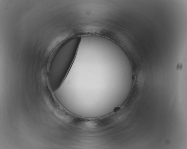 X0000112140692200908070939