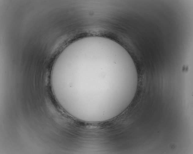X0000112140694200908070939