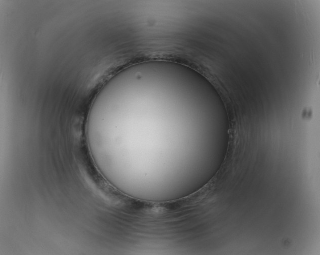 X0000112140695200908070939