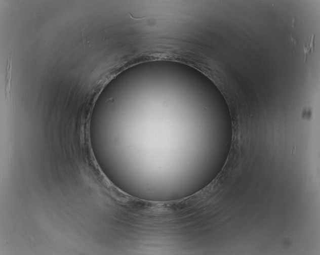 X0000112140696200908070939