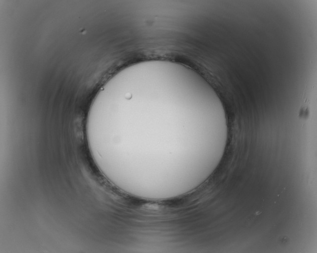 X0000112140699200908070939