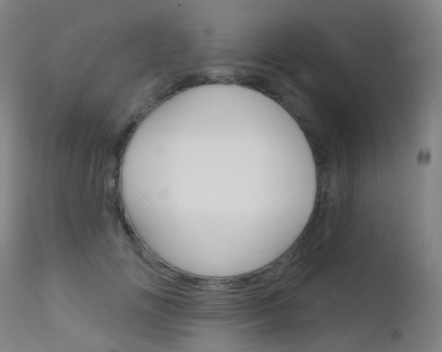 X0000112140702200908070939