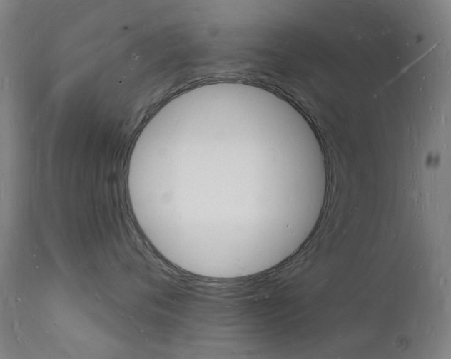 X0000112140720200908070939