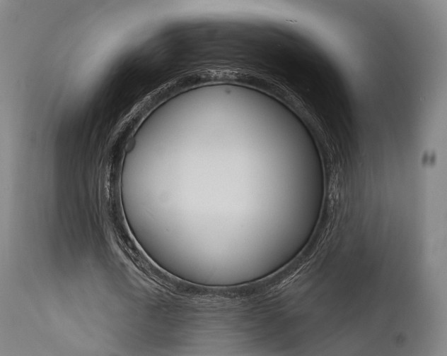 X0000112140722200908070938